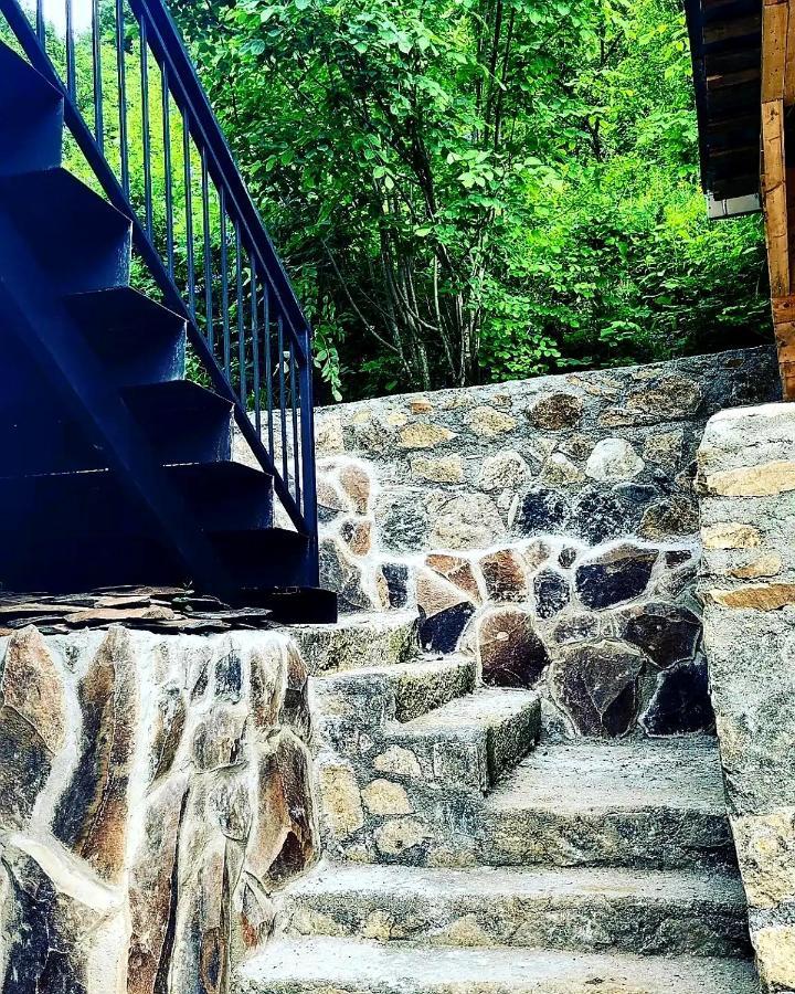 Family Hotel Mountain Panorama Borjomi Ngoại thất bức ảnh