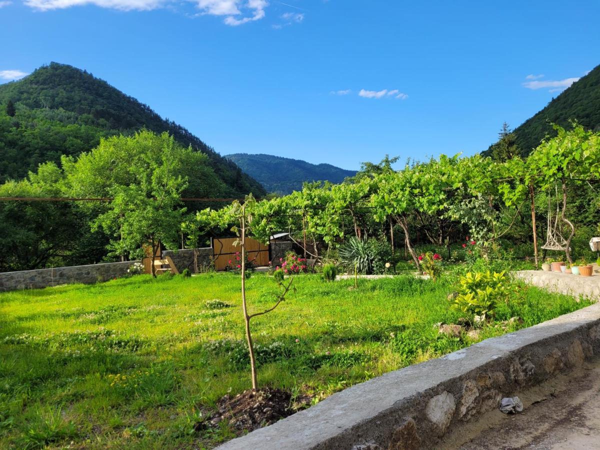 Family Hotel Mountain Panorama Borjomi Ngoại thất bức ảnh