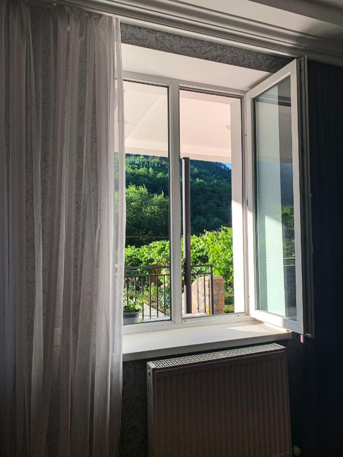 Family Hotel Mountain Panorama Borjomi Ngoại thất bức ảnh