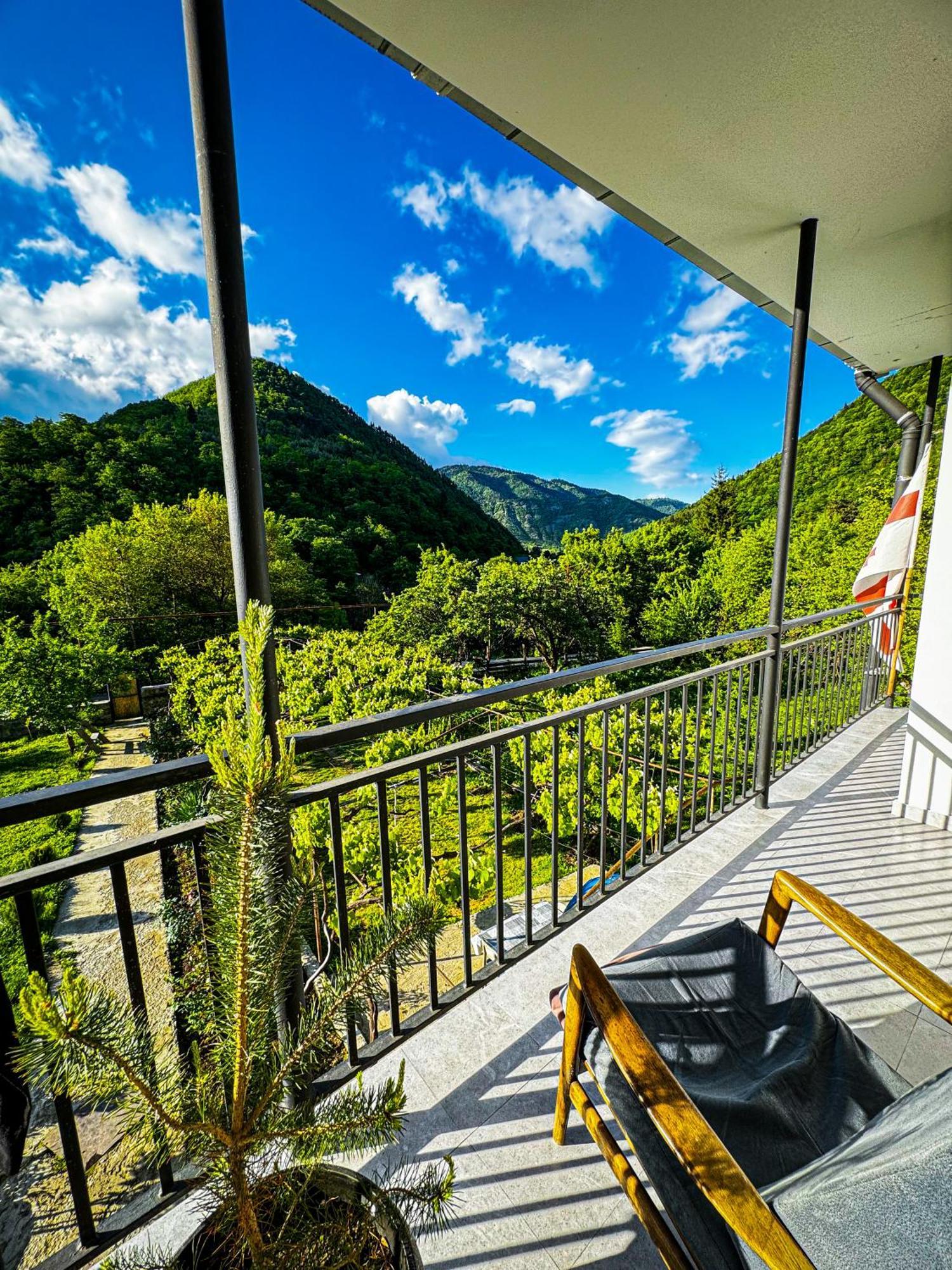 Family Hotel Mountain Panorama Borjomi Ngoại thất bức ảnh