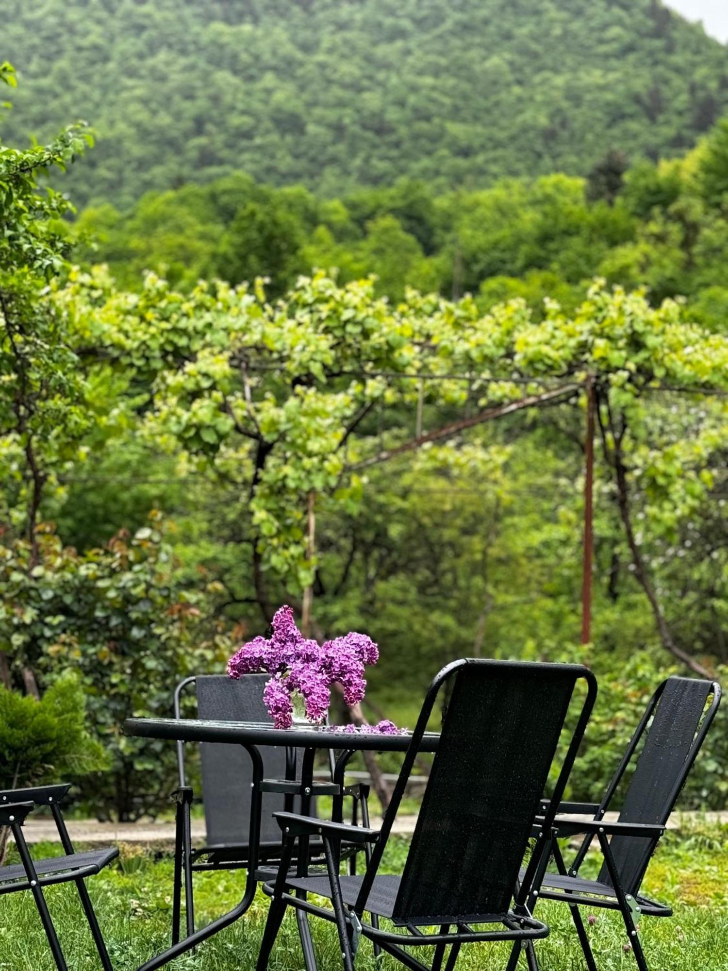 Family Hotel Mountain Panorama Borjomi Ngoại thất bức ảnh