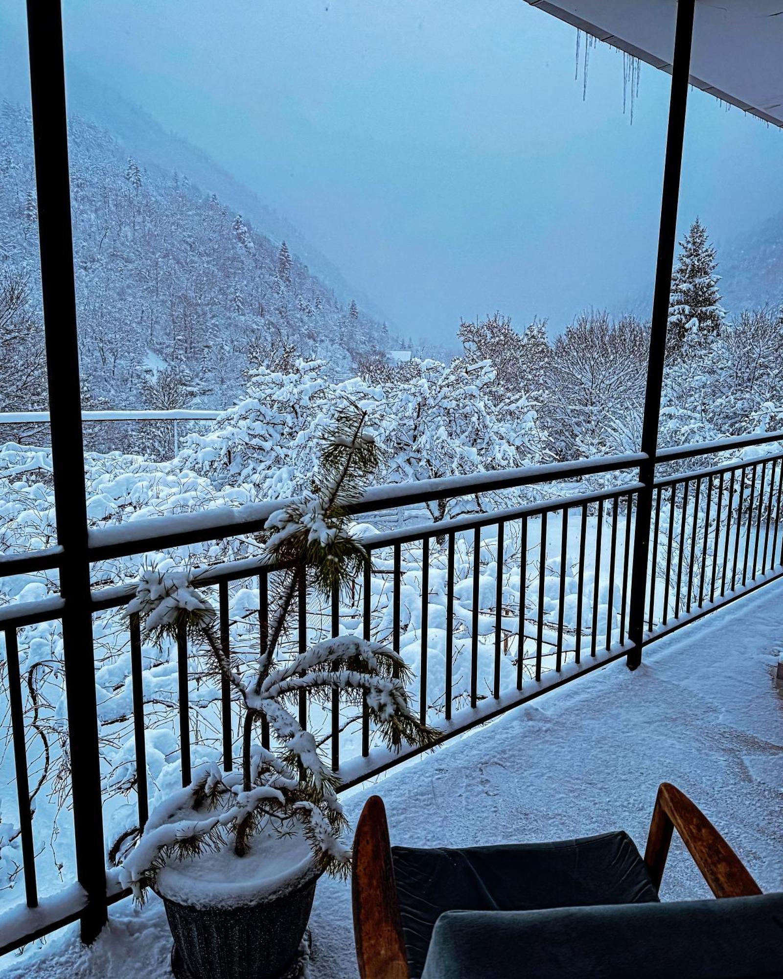 Family Hotel Mountain Panorama Borjomi Ngoại thất bức ảnh